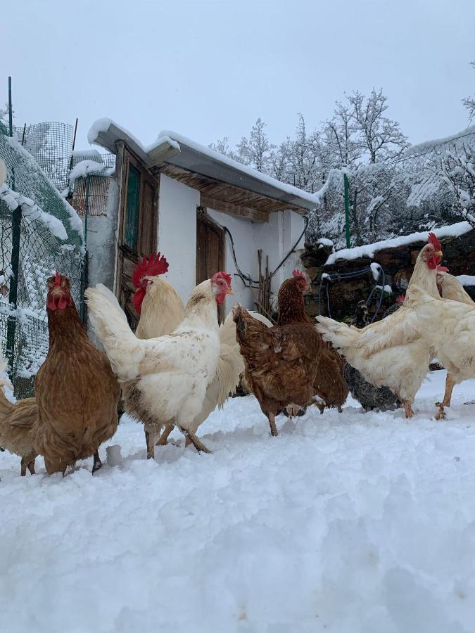 Hotel Rural El Sestil Dobres Kültér fotó
